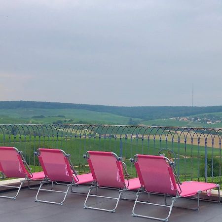 Floressens En Champagne Terrasse Privative Sur Le Vignoble Villa Fleury-la-Riviere Luaran gambar