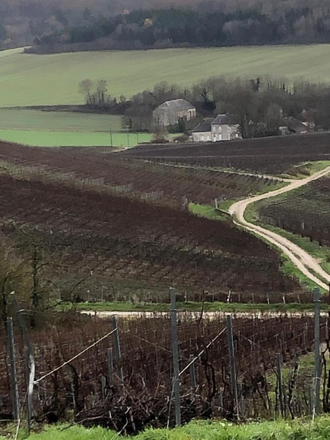 Floressens En Champagne Terrasse Privative Sur Le Vignoble Villa Fleury-la-Riviere Luaran gambar