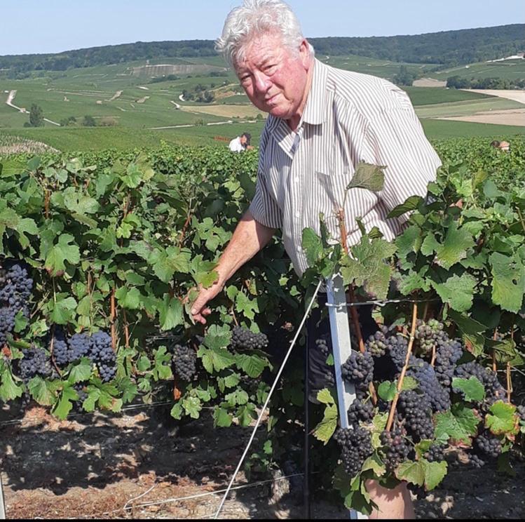 Floressens En Champagne Terrasse Privative Sur Le Vignoble Villa Fleury-la-Riviere Luaran gambar