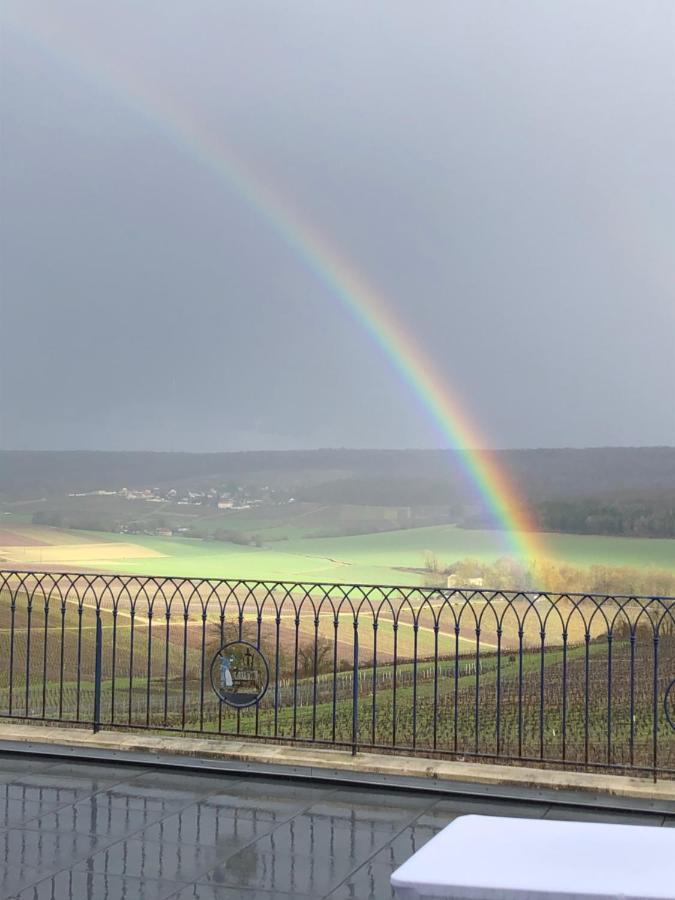 Floressens En Champagne Terrasse Privative Sur Le Vignoble Villa Fleury-la-Riviere Luaran gambar