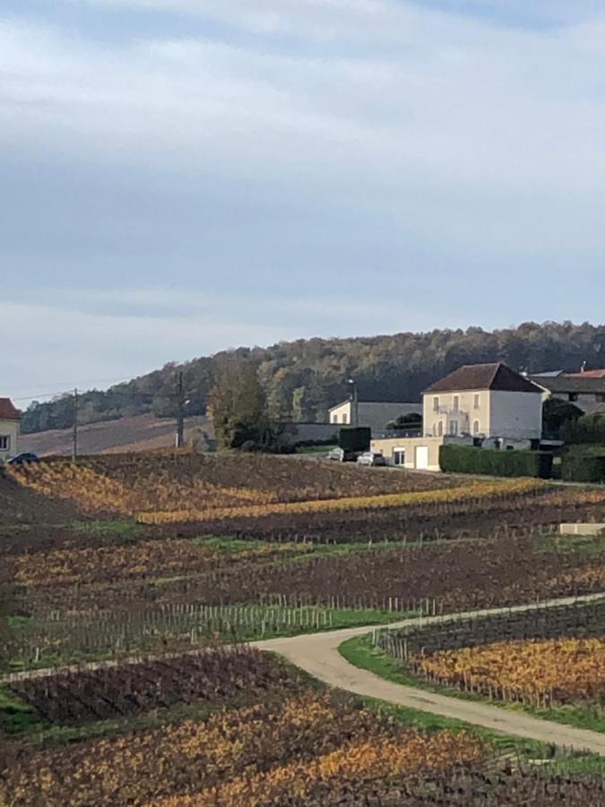 Floressens En Champagne Terrasse Privative Sur Le Vignoble Villa Fleury-la-Riviere Luaran gambar