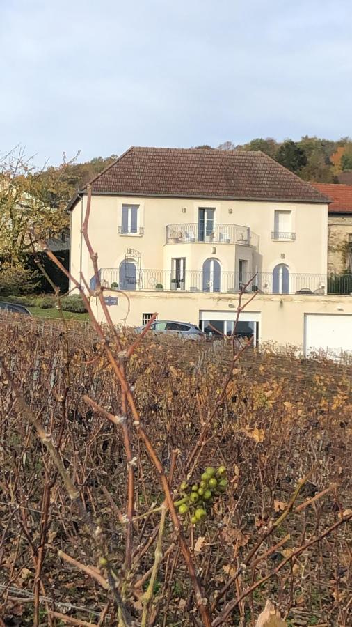 Floressens En Champagne Terrasse Privative Sur Le Vignoble Villa Fleury-la-Riviere Luaran gambar
