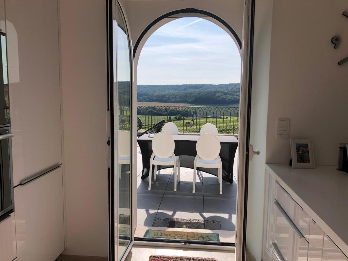 Floressens En Champagne Terrasse Privative Sur Le Vignoble Villa Fleury-la-Riviere Luaran gambar