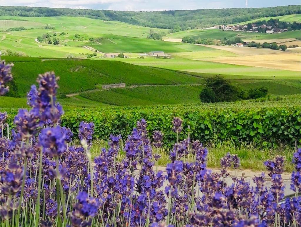 Floressens En Champagne Terrasse Privative Sur Le Vignoble Villa Fleury-la-Riviere Luaran gambar