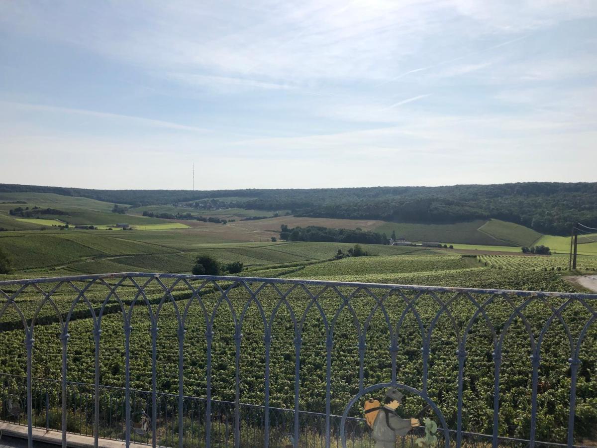Floressens En Champagne Terrasse Privative Sur Le Vignoble Villa Fleury-la-Riviere Luaran gambar