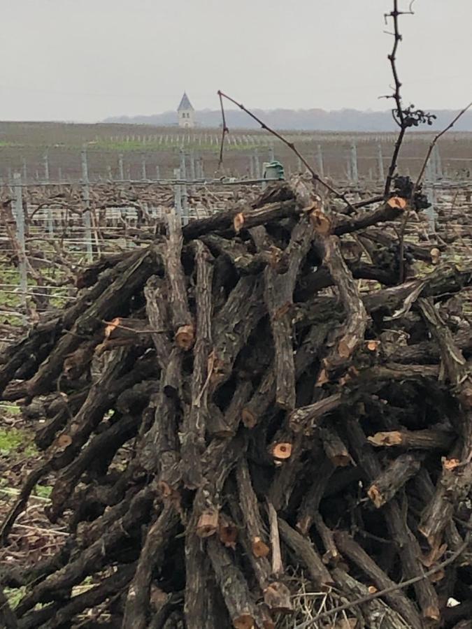 Floressens En Champagne Terrasse Privative Sur Le Vignoble Villa Fleury-la-Riviere Luaran gambar