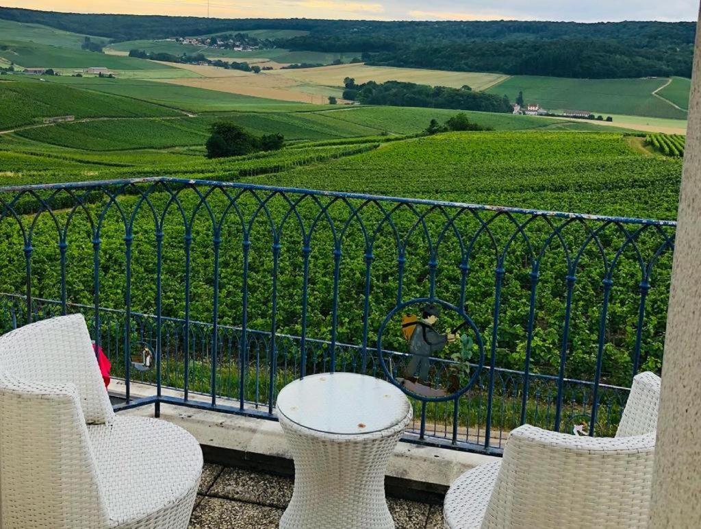 Floressens En Champagne Terrasse Privative Sur Le Vignoble Villa Fleury-la-Riviere Luaran gambar