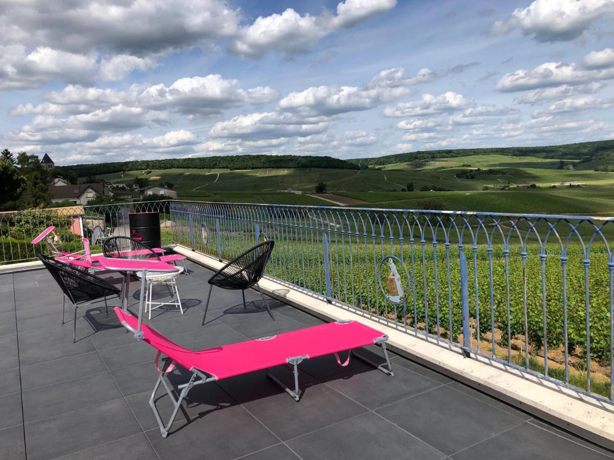 Floressens En Champagne Terrasse Privative Sur Le Vignoble Villa Fleury-la-Riviere Luaran gambar