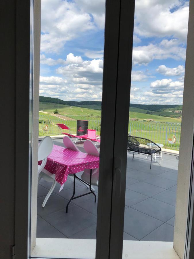 Floressens En Champagne Terrasse Privative Sur Le Vignoble Villa Fleury-la-Riviere Luaran gambar