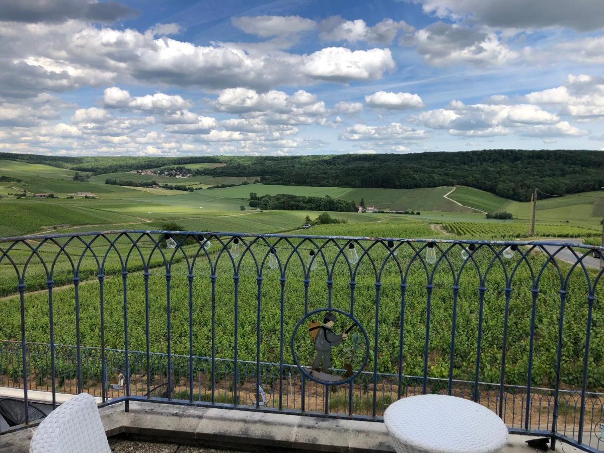 Floressens En Champagne Terrasse Privative Sur Le Vignoble Villa Fleury-la-Riviere Luaran gambar
